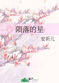 陨落的星